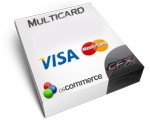 Visa/Visa Electron (VBV Visanet)